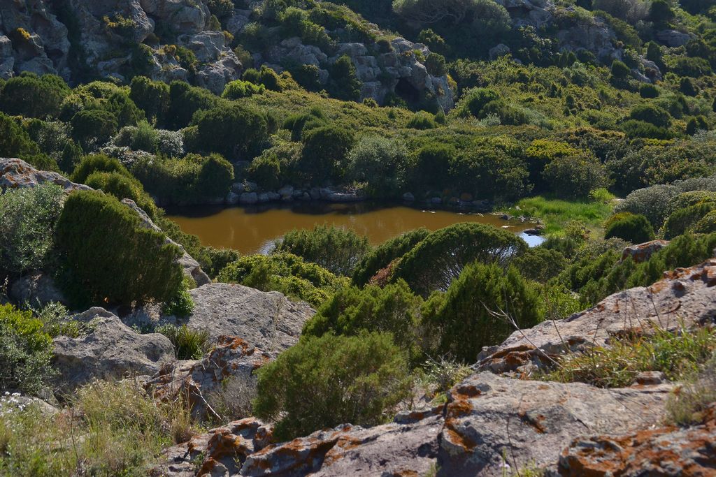 Sito archeologico Gutt'e Acqua Sant'Antioco