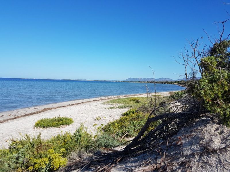 Masainas Sardegna